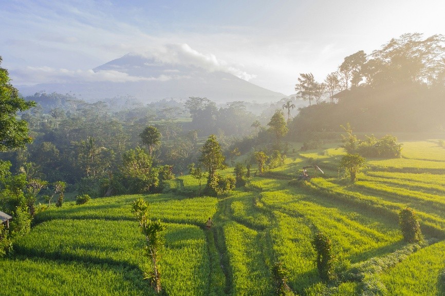 Bali photo 2