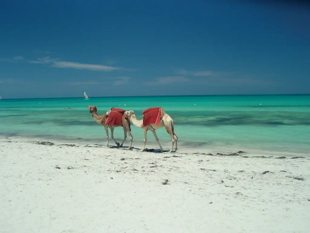 djerba photo 2