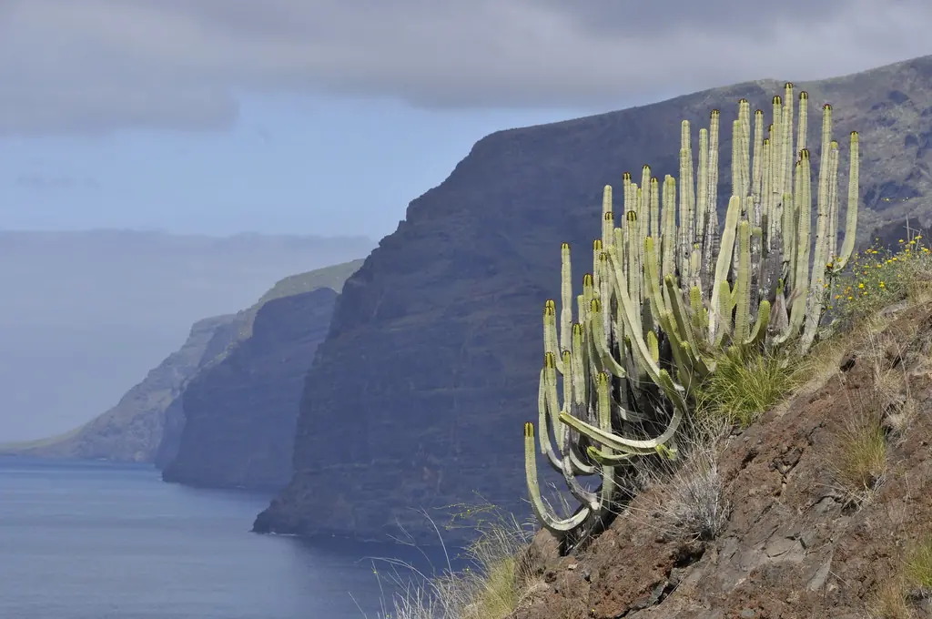 tenerife photo 3