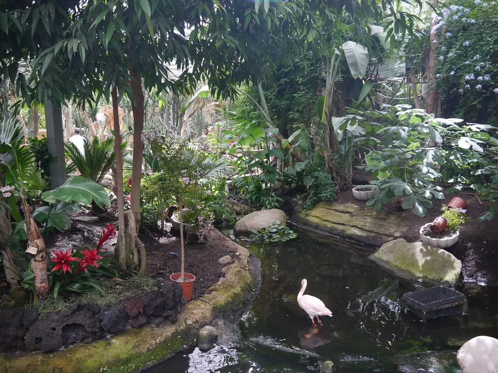 zoo-pairi-daiza photo 4